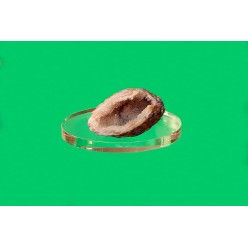 Oval plastic base 90 x 70 mm (Set of 10 pieces)