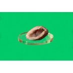 Oval plastic base 90 x 130 mm (Set of 10 pieces)