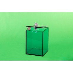 Plexisklová kasička - žlutá, transparentní